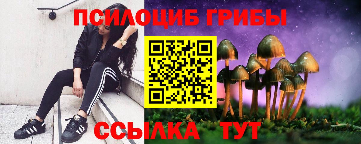 Ливны  Галлюциногенные грибы мухоморы  Вход с VPN 